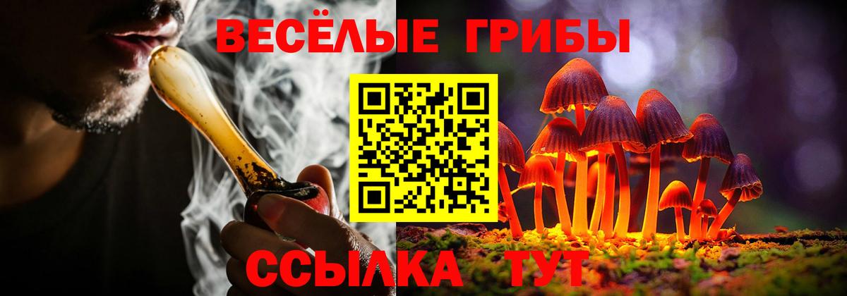 Серов  Галлюциногенные грибы Psilocybe  Вход с VPN 